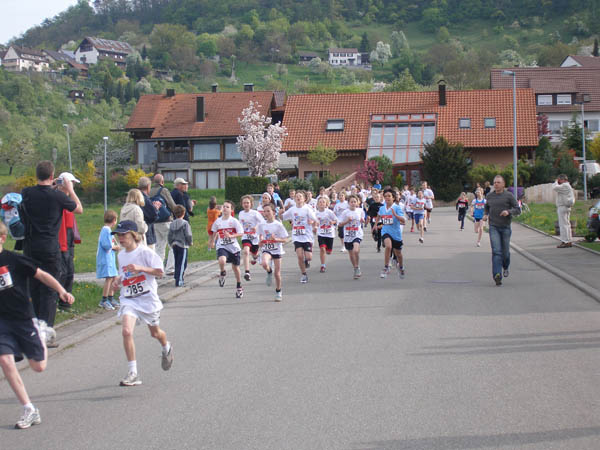 2009 Kirschblütenlauf 002 web